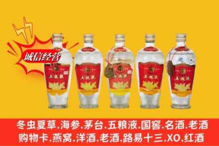 宁波市慈溪回收老五粮液