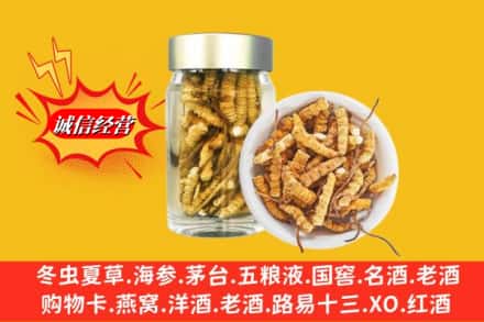 宁波市慈溪回收散虫草