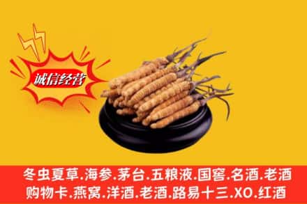宁波市慈溪名酒回收冬虫夏草.jpg